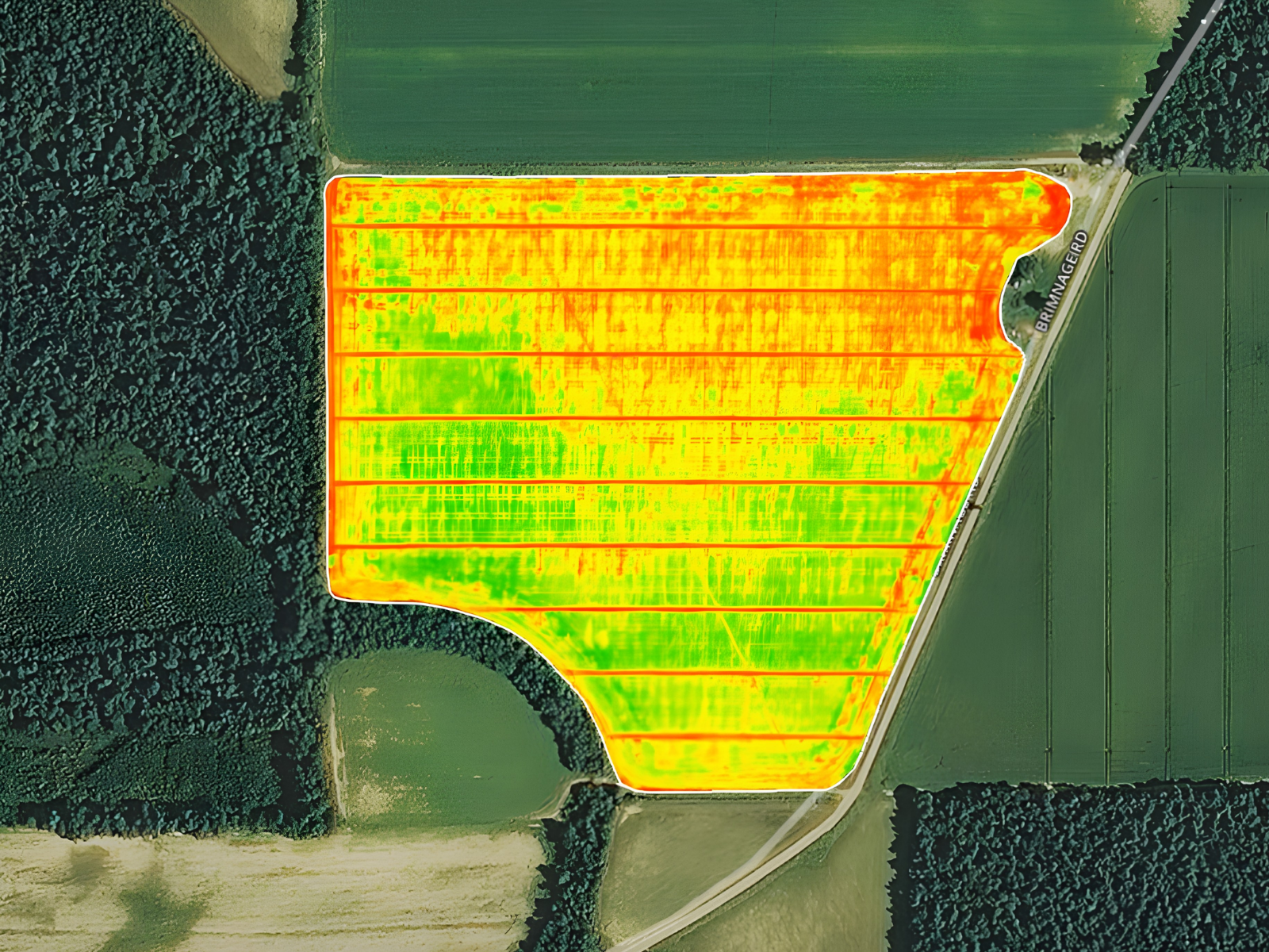 Thermal aerial imagery overlay showing crop health variation across a field